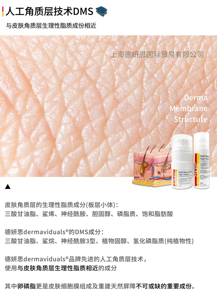 核心技术(图1)