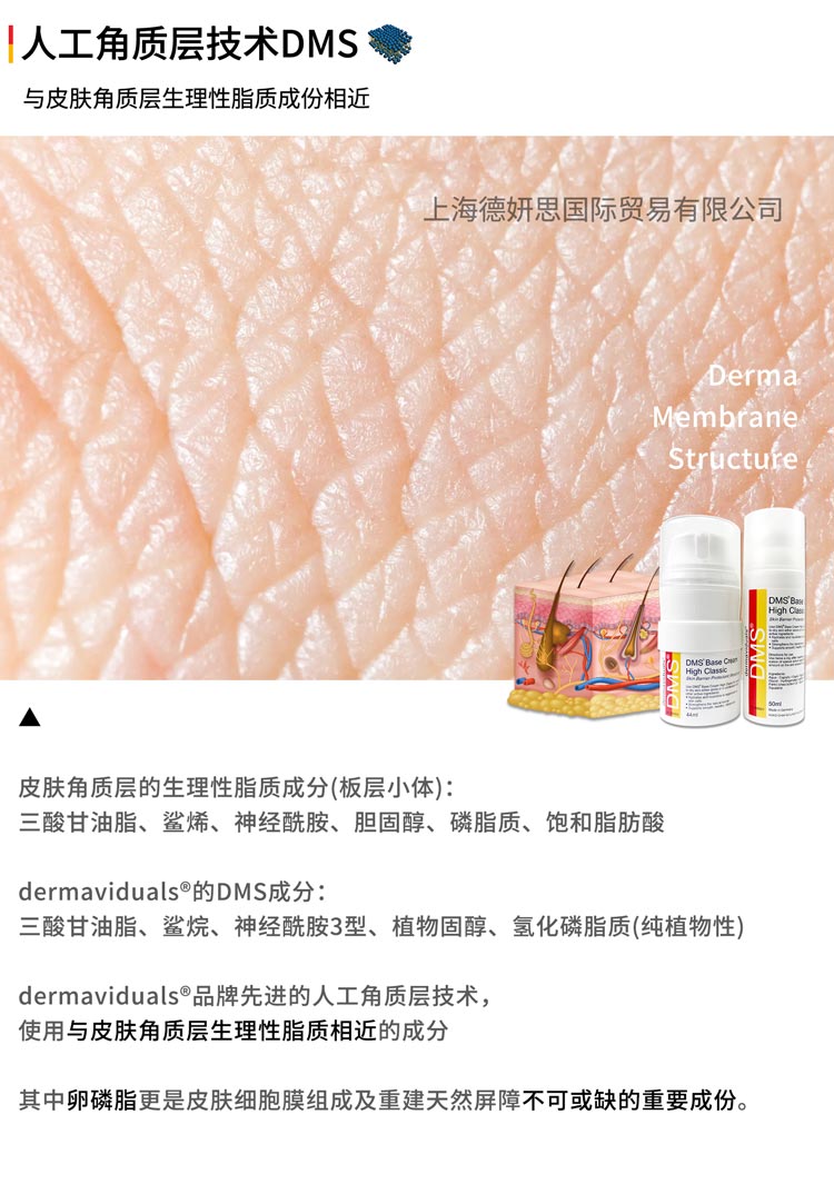 核心技术(图1)
