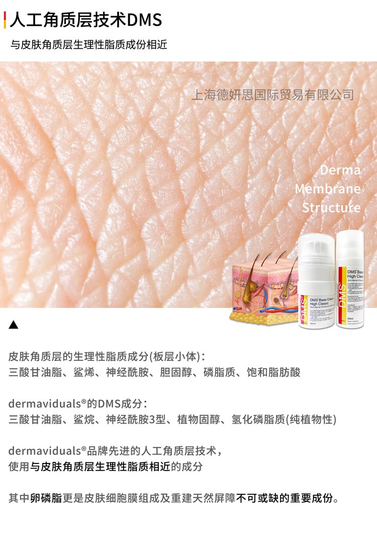 核心技术(图1)
